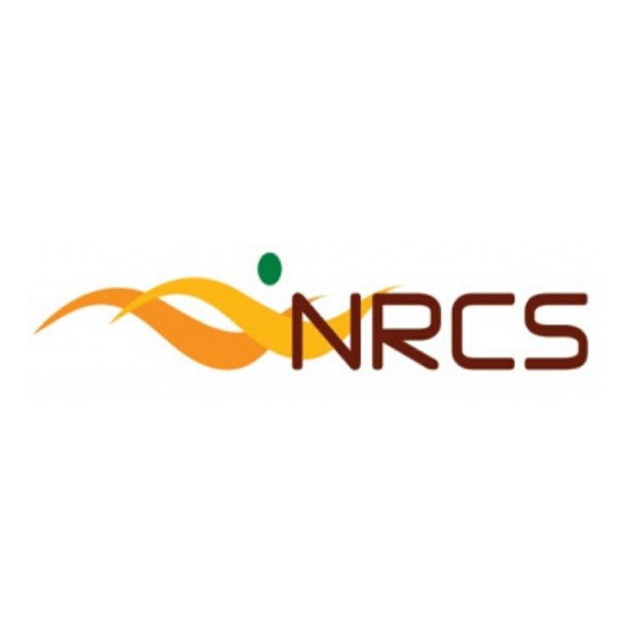 Logo with orange curved shapes and a green dot beside stylized text, abstract branding image.
